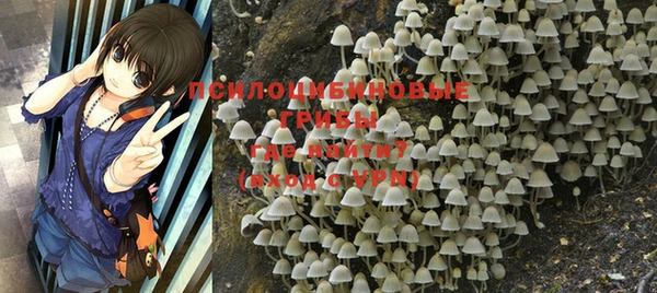 трава Абдулино