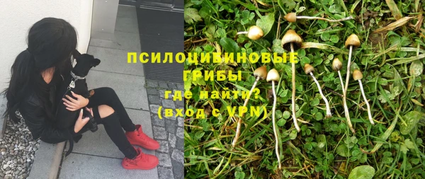 тгк Покров